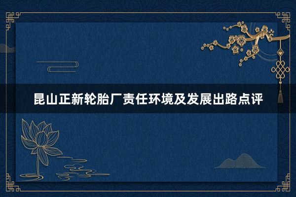 昆山正新轮胎厂责任环境及发展出路点评